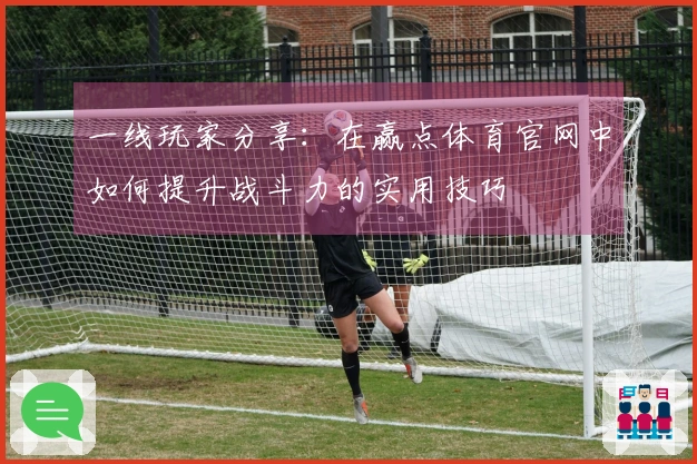 一线玩家分享：在赢点体育官网中如何提升战斗力的实用技巧