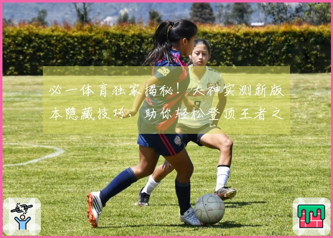 必一体育独家揭秘！大神实测新版本隐藏技巧，助你轻松登顶王者之路
