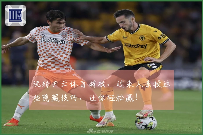 玩转开云体育游戏，过来人亲授这些隐藏技巧，让你轻松赢！