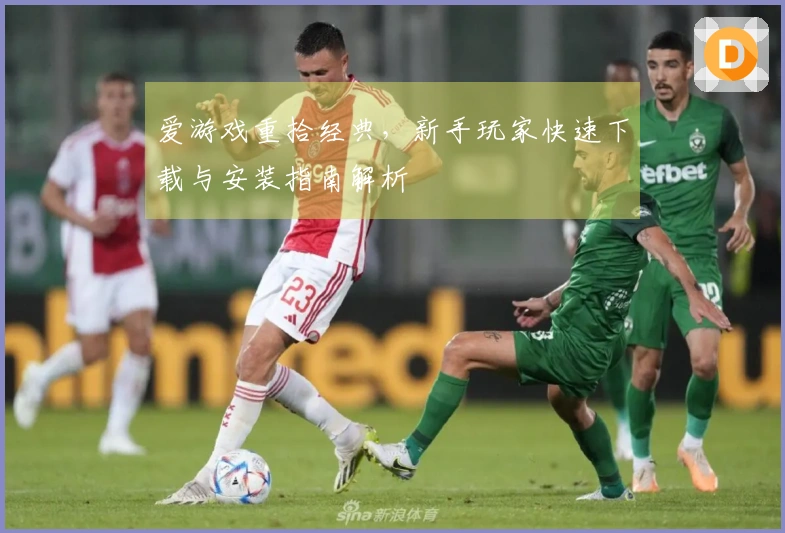 爱游戏重拾经典，新手玩家快速下载与安装指南解析